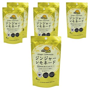 Fuji Foods 진저 레모네이드