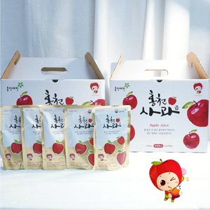 홍천사과즙 건강한 명품 사과즙 120ml 50팩 홍천 아기 임산부, 6L, 1개