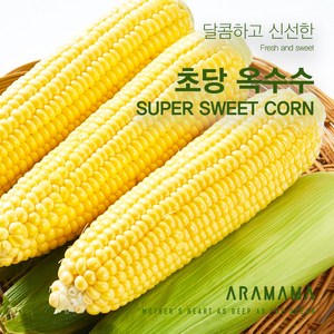 [아라마마] 산지직송 국내산 프리미엄 초당 옥수수 찰 햇 고당도 5개 10개 15개 20개 제주 괴산, 육지 중품(9cm 이상), 5개입