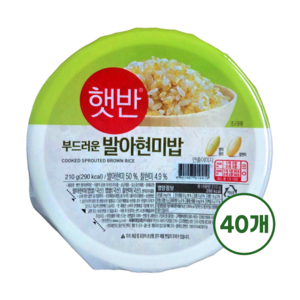 햇반 발아현미밥, 210g, 40개
