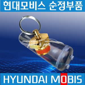 엑시언트 트라고 메가트럭 뉴파워트록 콕크 에어탱크 곡구 현대비스 순정 592607F000, 1개