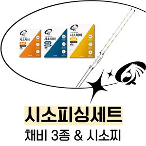 민물낚시세트 붕어 채비 내림 올림 찌 시소채비 3종 시소찌, 1세트, 시소채비 3종(R40 R50 R60) + 시소찌 1개