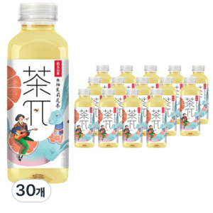 왕부정 중국 음료수 차파이 자몽 재스민차, 30개, 500ml