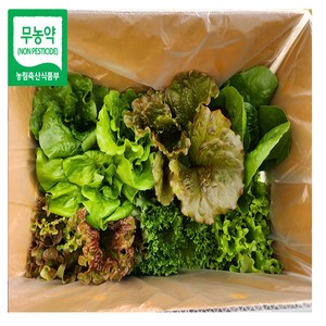 유러피안 샐러드 상추 야채 4~6종 1kg 2kg 스마트팜 (바타비아 크리스탈 로메인등 쌈채소) 전북 김제 유럽채소 쌈채소, 1개