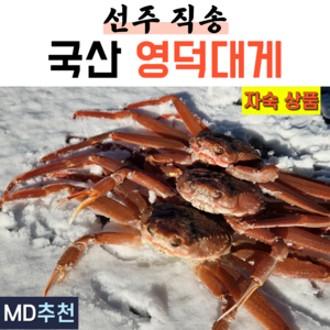 국산 프리미엄 영덕대게 자숙 대게 구룡포 포항 울진 게 대개 3마리 5마리 제철, 1박스, 소 9~9.4cm 3마리