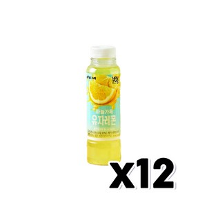 유어스 빙그레 하늘가득 유자레몬 주스 음료 페트 330ml x 12개