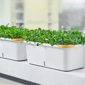 마이플랜트 어반 텃밭 화분 자동급수 플라스틱 화분, 1개, 화이트