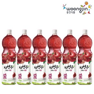 자연은 석류 주스, 1.5L, 6개