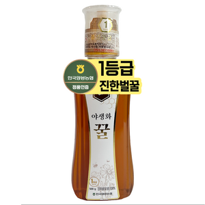 한국양봉농협 야생화 꿀, 500g, 1개