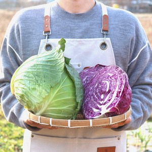 국내산 깐 양배추 적채 적양배추 겉잎손질 산지직송, 적양배추(적채), 2개, 1kg