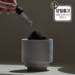 에이센트 오브제 스톤디퓨저, 오브제용기 + 화산석 + 오일 10ML, 세레니티, 1개