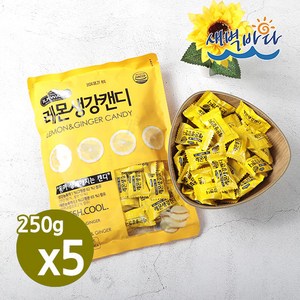 건강하게 달자 레몬생강캔디 250g 환절기 목감기 무설탕 CRLC2505, 5개