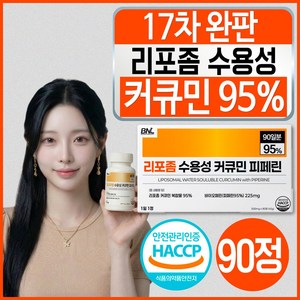 강황 수용성 리포좀 커큐민 피페린 100% 인도산 식약처 인증 haccp 바이오페린 비엔엘, 90정, 1개