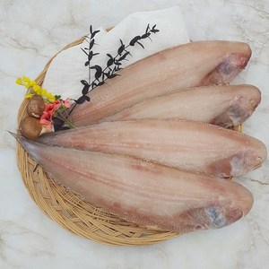 부산 반건조 생선 서대 박대 반찬용 제수용 조림용, 대 3마리 (35~37cm), 1개