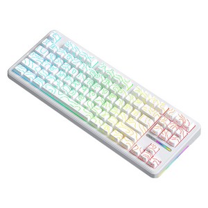 AULA F87 프로 3모드 기계식 키보드