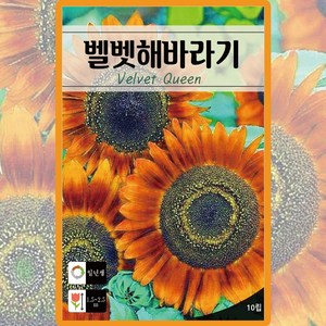 벨벳해바라기 씨앗 10립 해바라기 일년생 꽃씨 종자, 1개