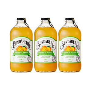 분다버그 트로피칼 망고 드링크, 375ml, 12개