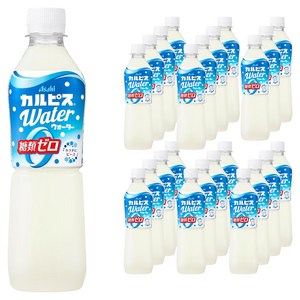 칼피스 워터 페트 A
