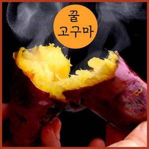 루라영 꿀고구마 토울 고구마 프리미엄 호박 밤 산지직송, 1개, 2kg(꼬마)