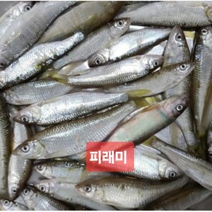 잡고기 1kg 국내산 자연산 꺽지 눈치 피래미 돌고기 매운탕, 1개