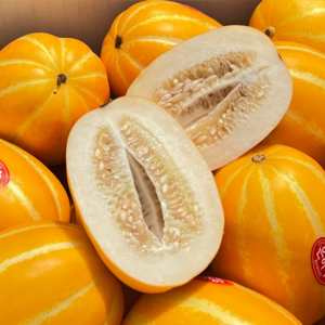 당일수확 고당도선별 성주 참외 가정용, 1박스, 1kg