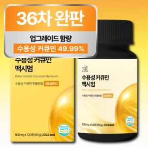 [4개월분] 강황 수용성 커큐민 식약청 HACCP 인증 (대용량), 120정, 1개