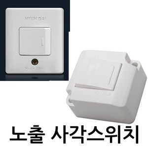 현대 노출 사각스위치, 1개