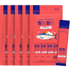 내츄럴랩 탐묘탐방 짜먹는 고양이 간식 12g x 4개입, 신선한 연어, 48g, 5팩