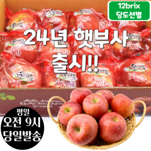 [오전8시 주문건 당일발송] 12브릭스 당도선별 세척사과 3kg (12~15입 중과), 3kg (12~15입), 1개