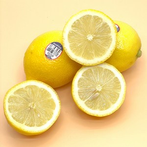 Sunkist 썬키스트 프로벡스 프로팔 정품 팬시 레몬 LEMONS, 1박스, 100개입(개당100g내외)