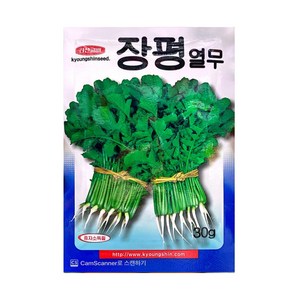 장평열무 씨앗 30G 경신종묘, 1개