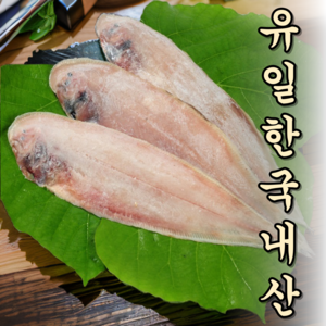 산지직송 꼬들꼬들 끝판왕 국내산 군산 박대, 1박스, 27cm 내외 - 20미