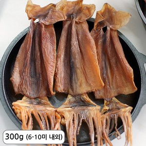삼천포 건조 쫄쫄이 오징어 마른오징어, 1개, 300g