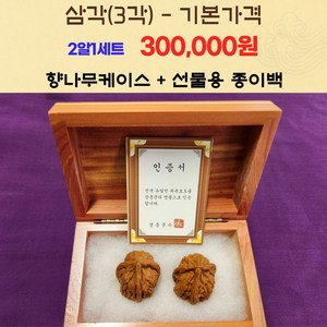 귀족호도박물관 직영판매점- 장흥 귀족호두 삼각(3각) 사각(4각) 2알1세트, 사각(4각)2알, 1세트