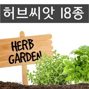 허브씨앗 모음/씨앗판매/허브/씨앗, 4.라벤더, 1개