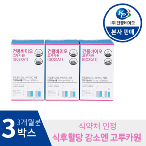 [본사판매] 식후혈당감소엔 키토올리고당 고투카원 3개월, 3박스, 90정