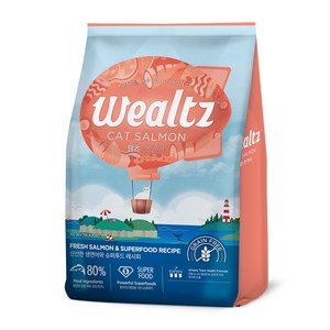 웰츠 전연령 캣 건식사료, 연어, 6kg, 1개