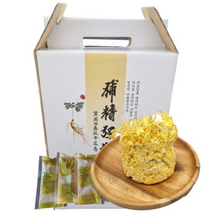 청명약초 (액상차)동충하초110ml 60포, 1개, 6.6L