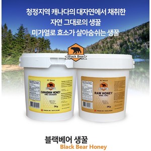 블랙베어 꿀 캐나다 프리미엄 허니 생꿀 3KG 직배송, 크림꿀 Creamed, 1개