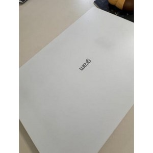 LG전자 그램 Pro 16 인텔 Arc 에센스화이트 약 16인치에 해당함, 코어Ultra5, 256GB, 16GB, WIN11 Home, 2024.01