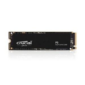 마이크론 마이크론 Cucial P3 대원씨티에스 (4TB)