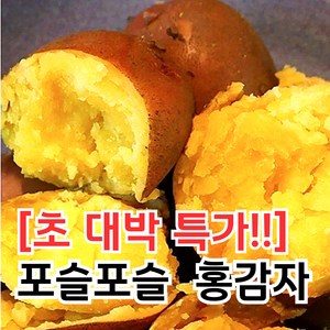 [환상적인맛] 카스테라 햇 홍감자 자색감자 붉은감자, 1개, 1.5kg (특품)