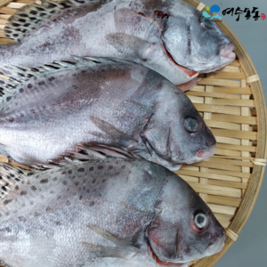 (여수동동)국내산 반건조 딱돔/어름돔 25cm/250g 3마리 와사비 믹스간장 증정, 1개