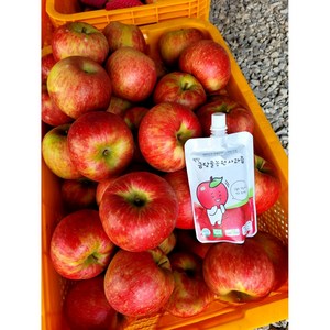 명품 생사과즙 평창 금당골농원사과즙 100ml, 20개