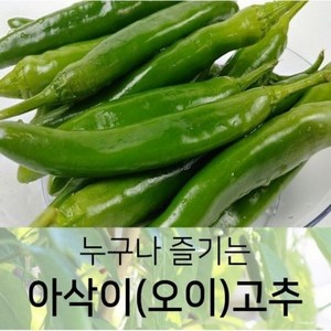 누구나 즐기는 아삭이(오이)고추 상 5kg, 1박스