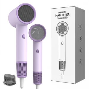 ROOICE 헤어드라이기 블루음이온 전문가용 드라이어 1800W