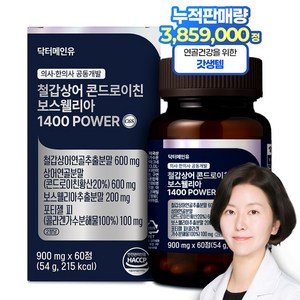 철갑상어 연골 콘드로이친 보스웰리아 1400 고함량 저분자 6형 콘트로이친 관절 닥터메인유 MBP c6s cs6, 60정, 1개