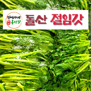 [진여사네돌산갓] 여수 돌산갓 절임갓 2kg 5kg 10kg 노지갓 갓김치 김장갓 여수갓, 절임갓 10kg, 1개
