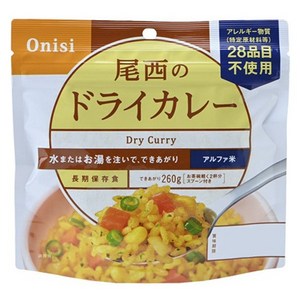오니시식품 드라이 카레, 100g, 1개