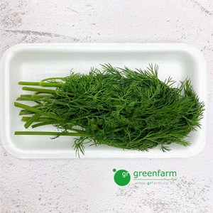 [싱싱채소 그린팜] 허브 딜 1팩(약10g), 10g, 1개